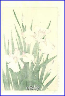 Kawarazaki Shodo F2 Hanashobu (Japanese Iris) Japanese woodblock prints