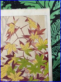 Kawarazaki Shodo Japanese Woodblock Print Autumn leaves plants Shin Hanga