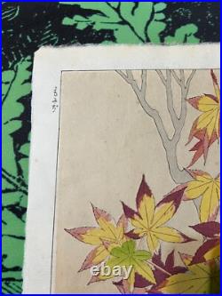 Kawarazaki Shodo Japanese Woodblock Print Autumn leaves plants Shin Hanga
