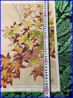 Kawarazaki Shodo Japanese Woodblock Print Autumn leaves plants Shin Hanga