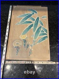 Kawarazaki Shodo Woodblock Print Fukujusou and Bamboo Adonis Flower 1st Edition
