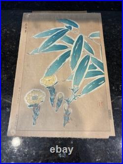 Kawarazaki Shodo Woodblock Print Fukujusou and Bamboo Adonis Flower 1st Edition