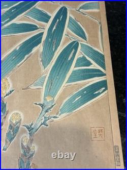 Kawarazaki Shodo Woodblock Print Fukujusou and Bamboo Adonis Flower 1st Edition