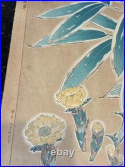 Kawarazaki Shodo Woodblock Print Fukujusou and Bamboo Adonis Flower 1st Edition