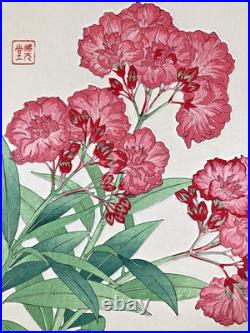 Kawarazaki Shodo Woodblock Print Oleander Kyoto Unsodo Flower Prints