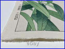 Kawarazaki Shodo Woodblock Print Oleander Kyoto Unsodo Flower Prints