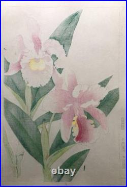 Kawarazaki Shodo Woodblock Print Ran Ukiyo-e Large 40x27.5cm