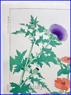 Kawarazaki Shodo Woodblock Print Thistle and Gampi Kyoto Unsodo Flower Prints