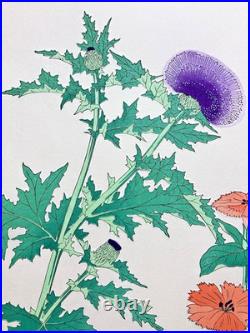 Kawarazaki Shodo Woodblock Print Thistle and Gampi Kyoto Unsodo Flower Prints