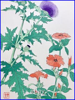 Kawarazaki Shodo Woodblock Print Thistle and Gampi Kyoto Unsodo Flower Prints