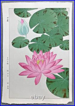 Kawarazaki Shodo Woodblock Print Water lily Kyoto Unsodo Flower Prints