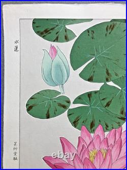 Kawarazaki Shodo Woodblock Print Water lily Kyoto Unsodo Flower Prints