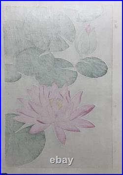 Kawarazaki Shodo Woodblock Print Water lily Kyoto Unsodo Flower Prints