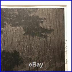 Kawase Hasui Japanese Woodblock print 250 x 380 mm Ukiyoe Rare Vintage Collector