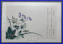 Kitagawa Utamaro Ukiyo-e Woodblock Print Katydid and Centipede