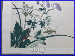 Kitagawa Utamaro Ukiyo-e Woodblock Print Katydid and Centipede