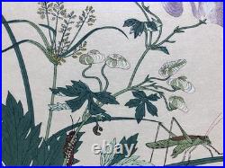 Kitagawa Utamaro Ukiyo-e Woodblock Print Katydid and Centipede