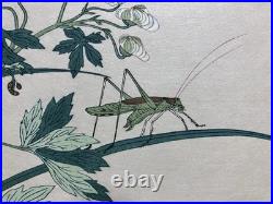 Kitagawa Utamaro Ukiyo-e Woodblock Print Katydid and Centipede