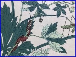 Kitagawa Utamaro Ukiyo-e Woodblock Print Katydid and Centipede