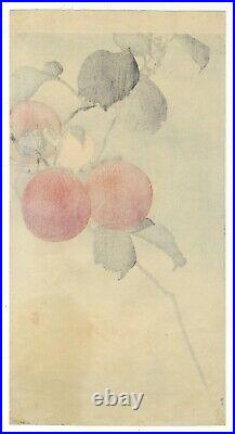 Koson Ohara, Bird and Persimmon, Nature, Original Japanese Woodblock Print