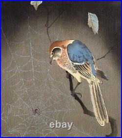 Koson Ohara Japanese Woodblock Print Art Bull-headed Shrike Bird Spider Vintage