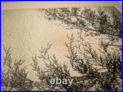 Kotozuka Eiichi Bamboo Woodblock Print Uchida Mounted Fair, as is