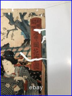 Kunisada Woodblock Print Triptych Narita Tomigaseki Flowering Scene