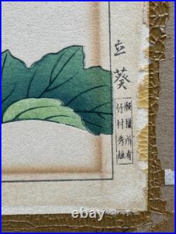 Nishimura Hodo Original Hollyhock Flowers Woodblock Print1937 Asian Japanese Art