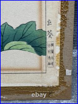 Nishimura Hodo Original Hollyhock Flowers Woodblock Print1937 Asian Japanese Art