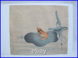 OHARA KOSON Hand Colored Japanese Woodblock Print FROG on LOTUS LEAF