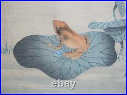 OHARA KOSON Hand Colored Japanese Woodblock Print FROG on LOTUS LEAF