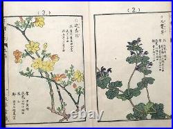 ORG Kono BAIREI Thousands of flowers Woodcut album Woodblock print Book Japan #1
