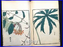 Org Kono BAIREI Flowers Colored Woodcut album Japanese Woodblock print Book #2