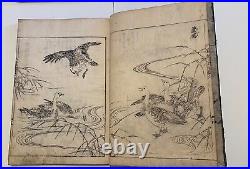 Orig Japanese Woodblock Print Book BIRDS OF JAPAN c 1710