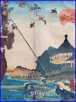 Original Antique Woodblock. The Peach Thief By Utagaga Hirokage Japan
