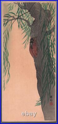 Original Japanese Woodblock Print -OHARA KOSON Cicada, 1930's, Shin Hanga