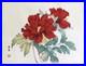Peony_Flower_Japanese_Woodblock_Print_Konan_Tanigami_Ukiyo_e_01_ssq