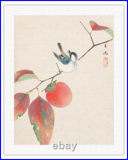 Persimmon & Japanese Sparrow Vintage Japanese Woodblock Print Seiyosai Shunshi