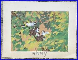 RAKUSAN TSUCHIYA 1930s Japanese Woodblock Print Green Plums & Young Sparrows