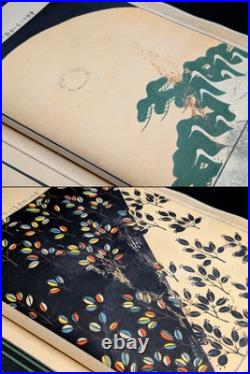 Rare/Meiji/1901's/Honda Unkindo/Japanese Woodblock Print Book/Antique
