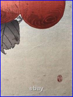SHOSON KOSON OHARA Japanese Woodblock Art Print Persimmon White-eye Bird Framed