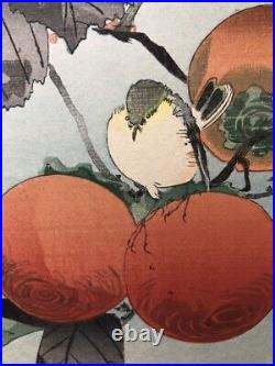 SHOSON KOSON OHARA Japanese Woodblock Art Print Persimmon White-eye Bird Framed