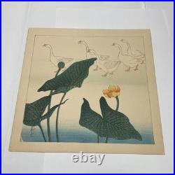 Shakuyuki Japanese Woodblock Print Quail Meiji-Taisho Authentic
