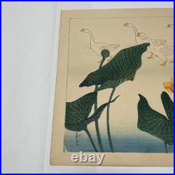 Shakuyuki Japanese Woodblock Print Quail Meiji-Taisho Authentic