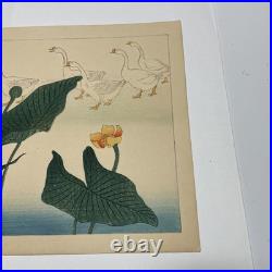 Shakuyuki Japanese Woodblock Print Quail Meiji-Taisho Authentic