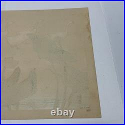 Shakuyuki Japanese Woodblock Print Quail Meiji-Taisho Authentic
