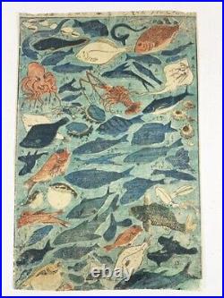 Shinban Fish Collection Ukiyo-E 34.3 22.8 Nishiki-E Woodblock Print