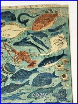 Shinban Fish Collection Ukiyo-E 34.3 22.8 Nishiki-E Woodblock Print