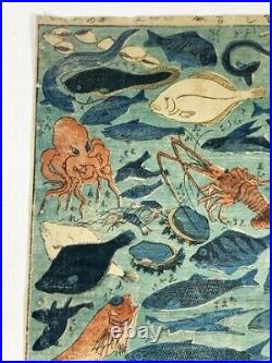 Shinban Fish Collection Ukiyo-E 34.3 22.8 Nishiki-E Woodblock Print
