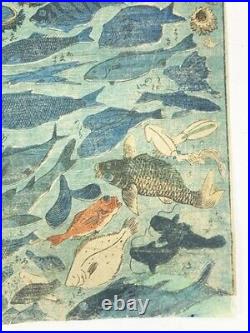 Shinban Fish Collection Ukiyo-E 34.3 22.8 Nishiki-E Woodblock Print